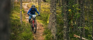 Här planeras stort mountainbike-område: "Vore en dröm"