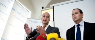 Blyg Reinfeldt