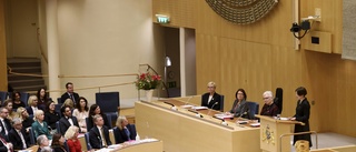 Gruppledare utsedda för V, C och MP