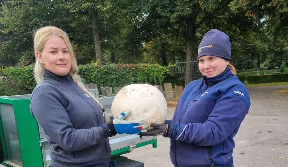 Josefine Melchert och Clara Dansson med svampfyndet på Norra kyrkogården.
