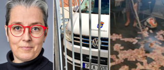 40-åring anklagas för tredubbla grova brott: ”Var hans levebröd”