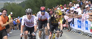 Fransk seger på spansk etapp i Tour de France