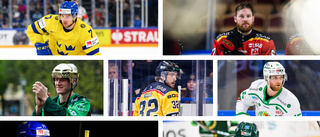 Ranking: De tio bästa värvningarna i SHL – en LHC-are på listan