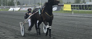 Spetsiga lunchtävlingar på Bodentravet 