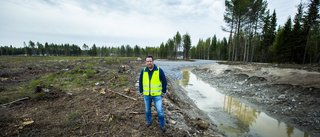 Skyddande skog kan naggas i kanten för att ge fler industritomter