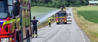 200 meter dike brann på Vikbolandet