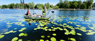 Båten som förbryllar Eskilstunaborna – åker fram och tillbaka