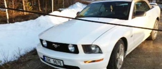 Nya spår efter Mustang-mannen