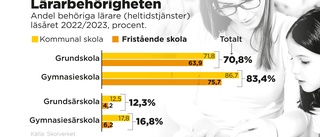 Skolverkets chef: Höj kraven på lärarbehörighet