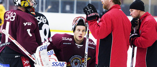 Så har Modo kartlagt Luleå Hockey