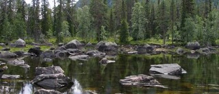 Reserverat för naturen