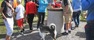 Hundpark invigdes med två "voff"