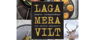 Laga mera vilt : Långkok, vardagsmat och läckra smårätter 