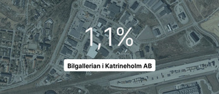 Så gick det för Bilgallerian i Katrineholm AB 2022