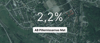 Så gick det för AB Pillernissarnas Mat senaste året