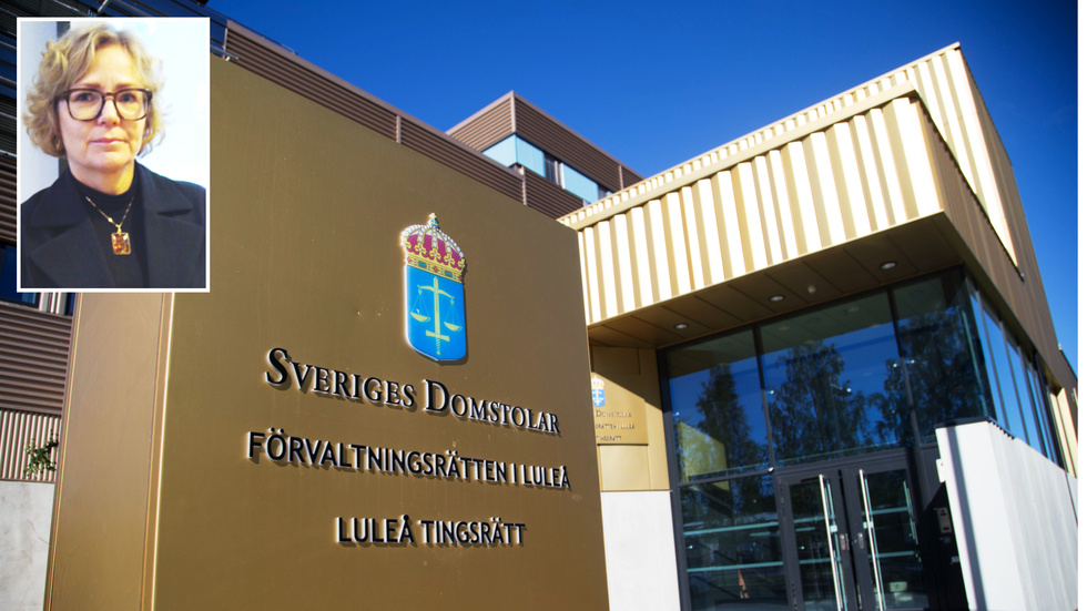 Anna Bergström infälld i bild från tingsrätten i Luleå.