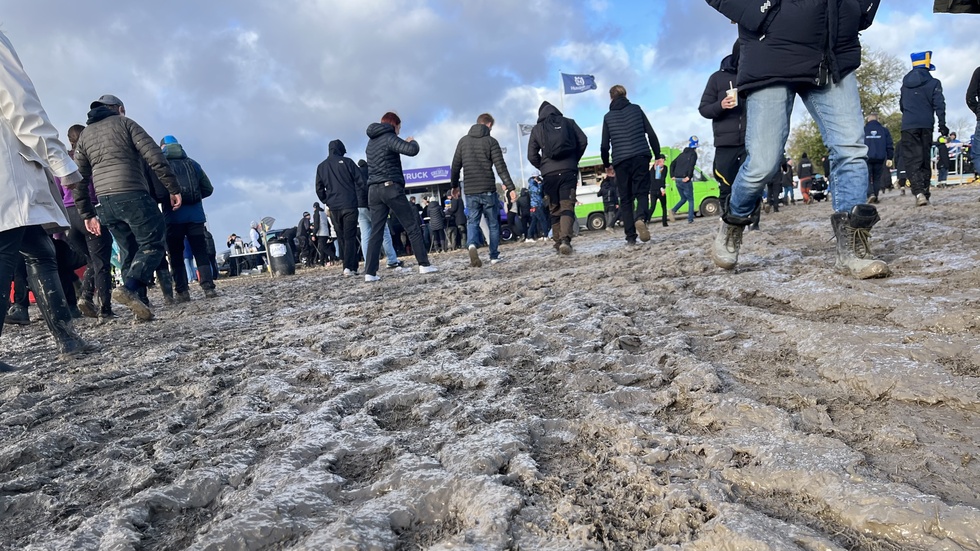 Return of the autumn race