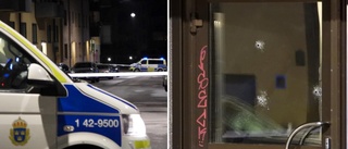 Polisen efter nattens skottlossning: "Ingen anledning till oro"