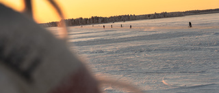 Lägsta apriltemperaturen i Luleå på 59 år