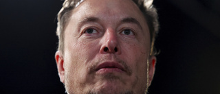 Musk stämmer researchgrupp