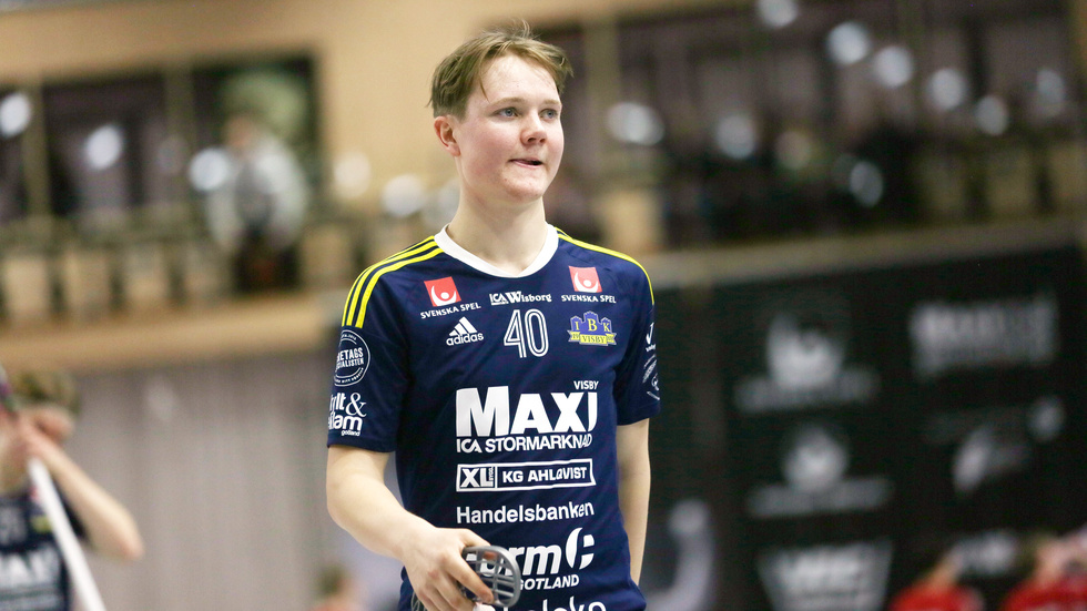 John Pettersson, Visby IBK