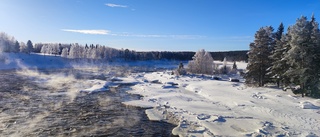 Läsarbilden från Kamlunge                   