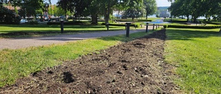 Därför är rabatterna än så länge tomma i Stadsparken