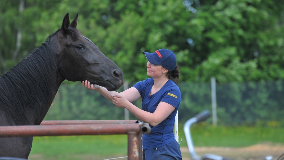 Janita Luttunen, ny travtränare på Bodentravet, har tolv hästar i träning.