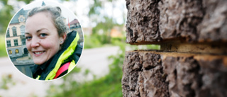 Kommunens miss: Därför rasade trädet – rakt över vägen