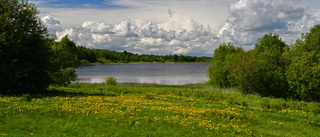 Läsarbild: Sommarlandskap och moln i skön förening