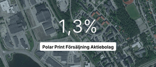 Så gick det för Polar Print Försäljning Aktiebolag