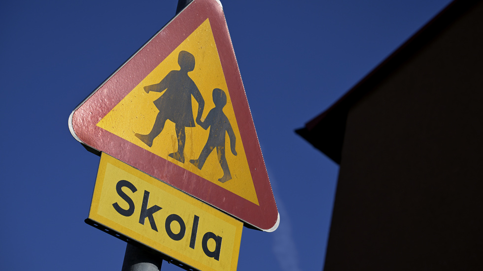 Det var när en elev skulle omhändertas som pojken, enligt domen, försökte hindra polisarbete. 