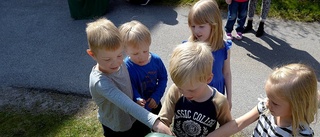 Förskolebarnen läxar upp nedskräpare