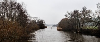 Framsteg för Åriket som naturreservat