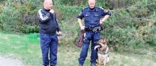 Polishundar finslipar formen