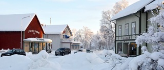 Nytt rekord för företagsamheten