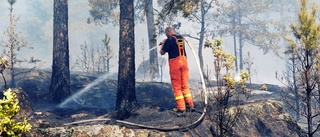 Flera larm om skogsbränder