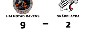 Missat kval för Skärblacka efter förlust mot Halmstad Ravens