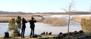 Besparingar hotar biologisk mångfald