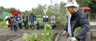 Pedagogiskt i Botaniska