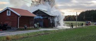 13 veckors väntan på avslag