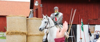 Nationalsång och folkfest runtom i länet