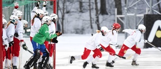 Uppsalaspelare i F17-landslag