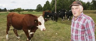 Gräsöbönder oroliga för betet