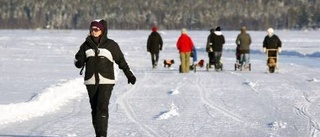 Piteå bästa friluftskommun