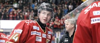 Hemmamatcher i elitserien