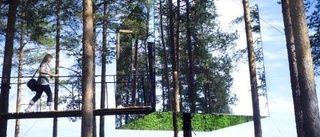 Turismpris till Treehotel