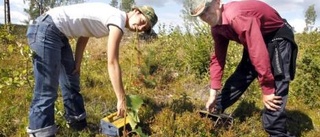 Bärföretag positiv till skärpta krav