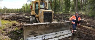 Fågelparadis i Norrfjärden