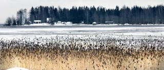 Par trampade genom isen i Lövskär